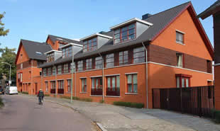 foto egz Zonnebloem