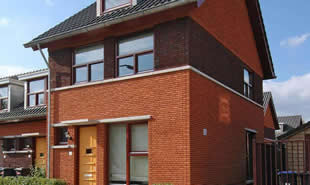 foto egz zonnebloem 4